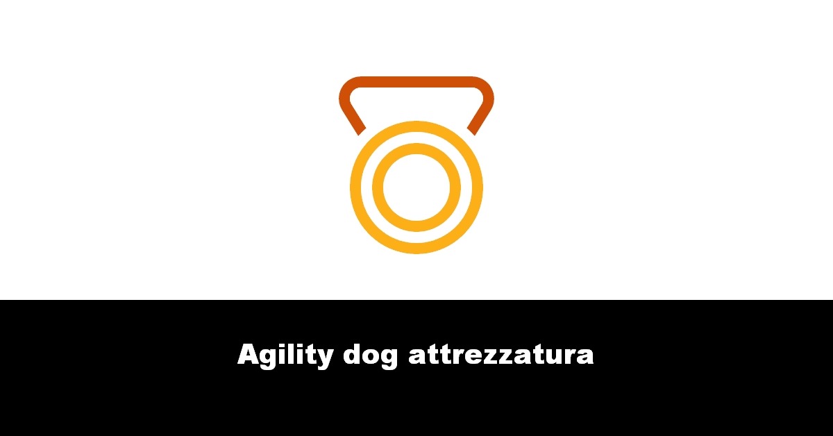 Agility dog attrezzatura