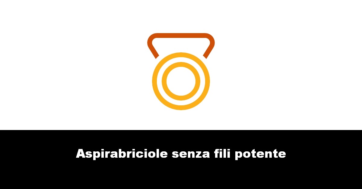 Aspirabriciole senza fili potente