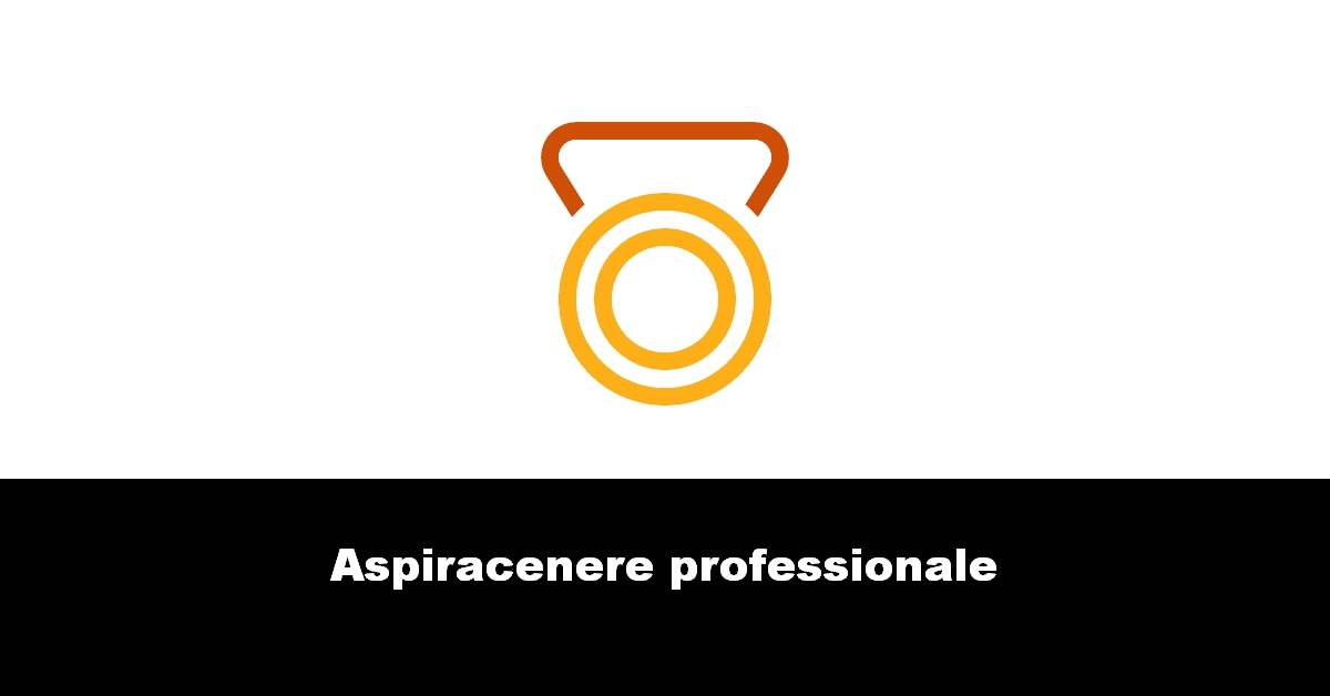 Aspiracenere professionale