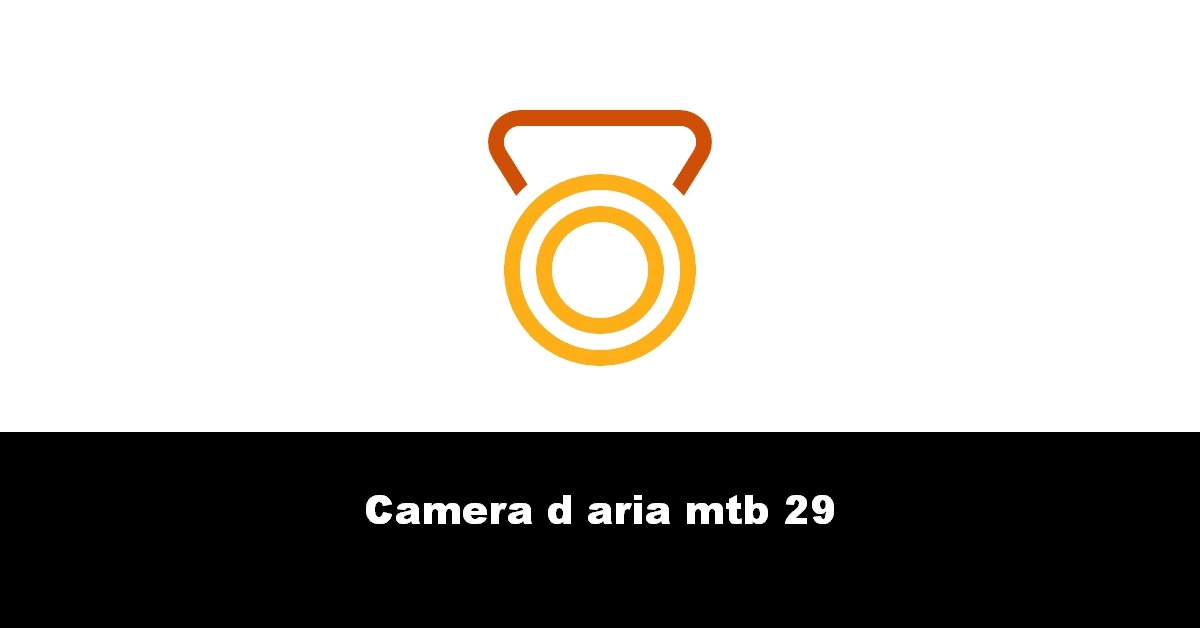 Camera d aria mtb 29