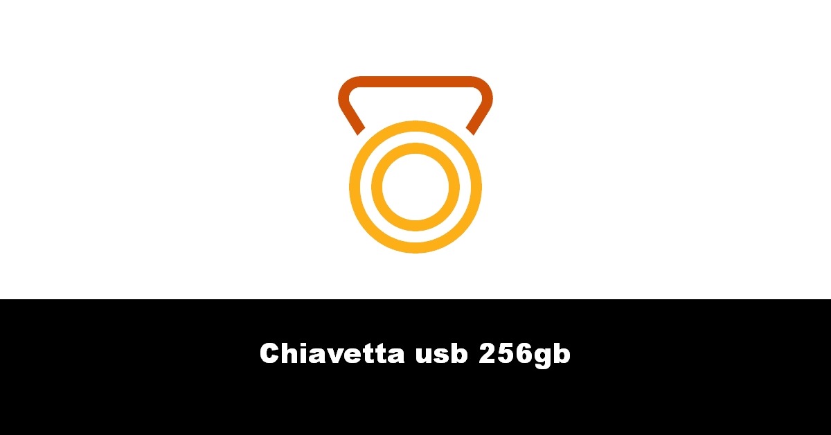 Chiavetta usb 256gb