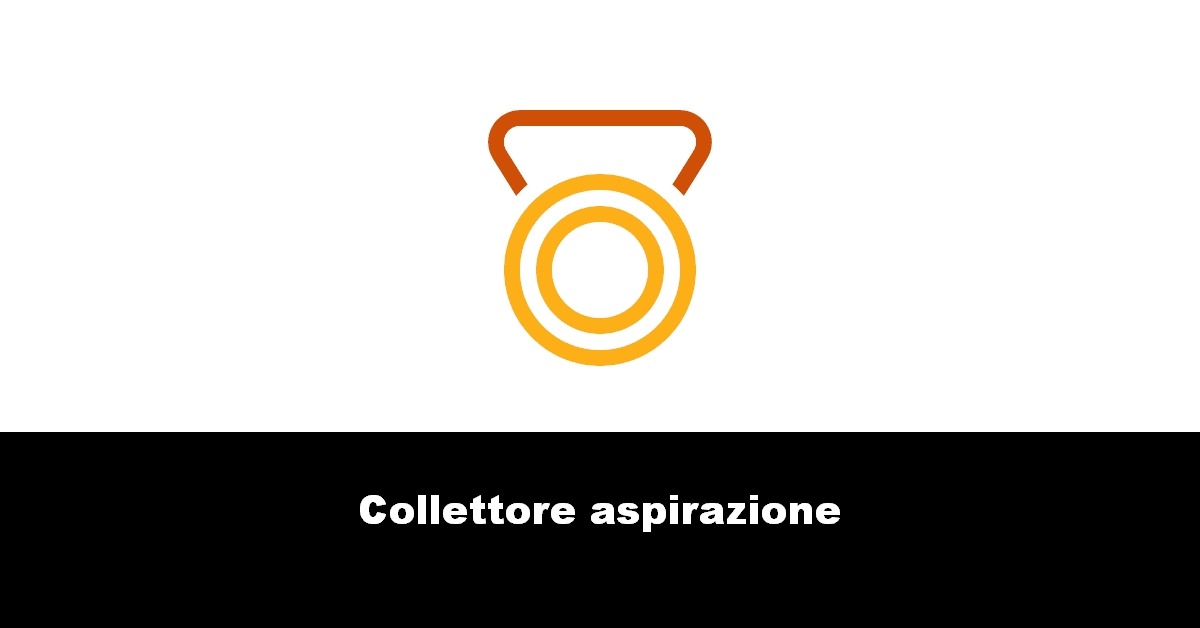 Collettore aspirazione