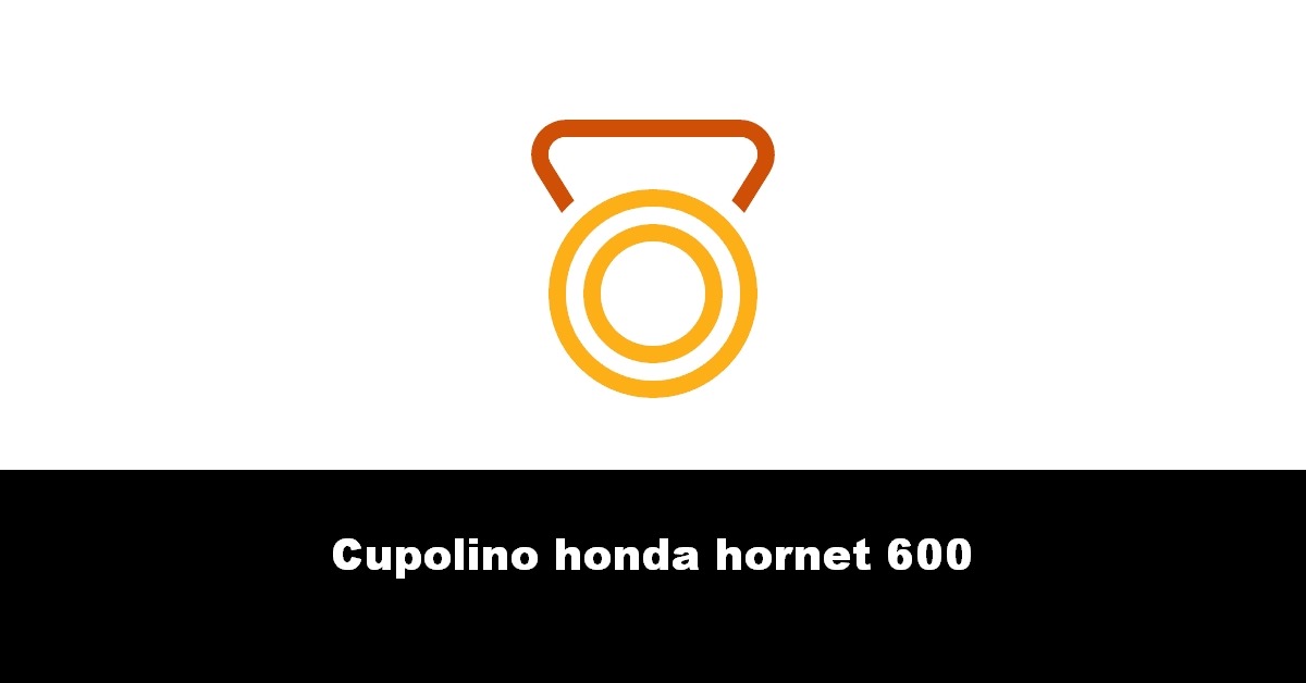 Cupolino honda hornet 600