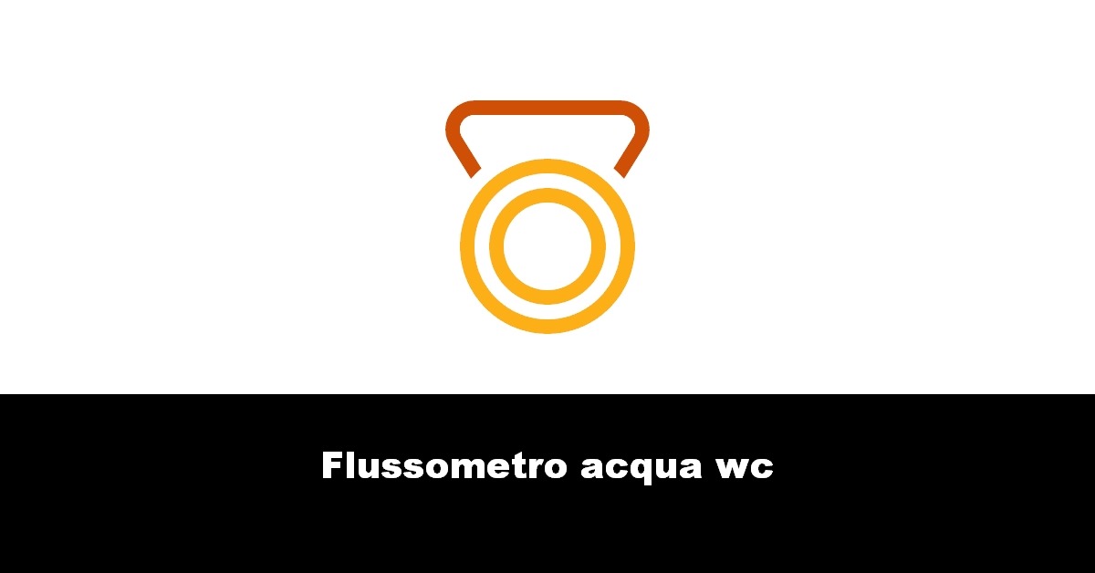 Flussometro acqua wc