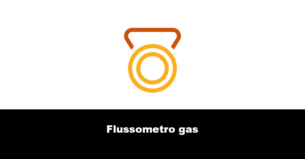 Flussometro gas