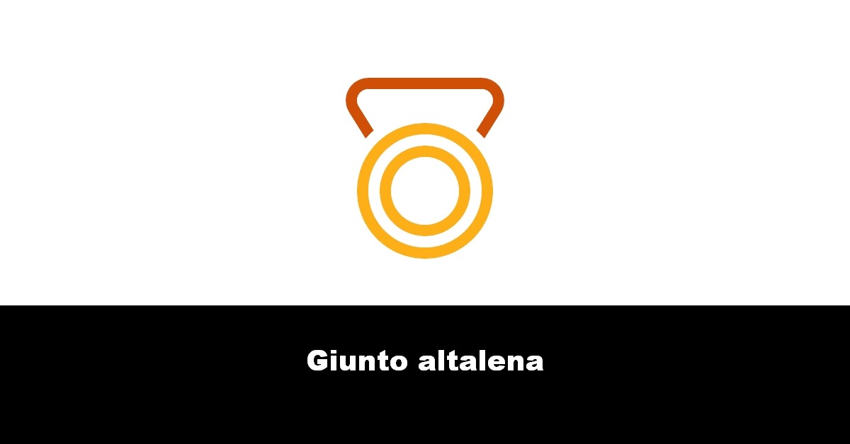 Giunto altalena