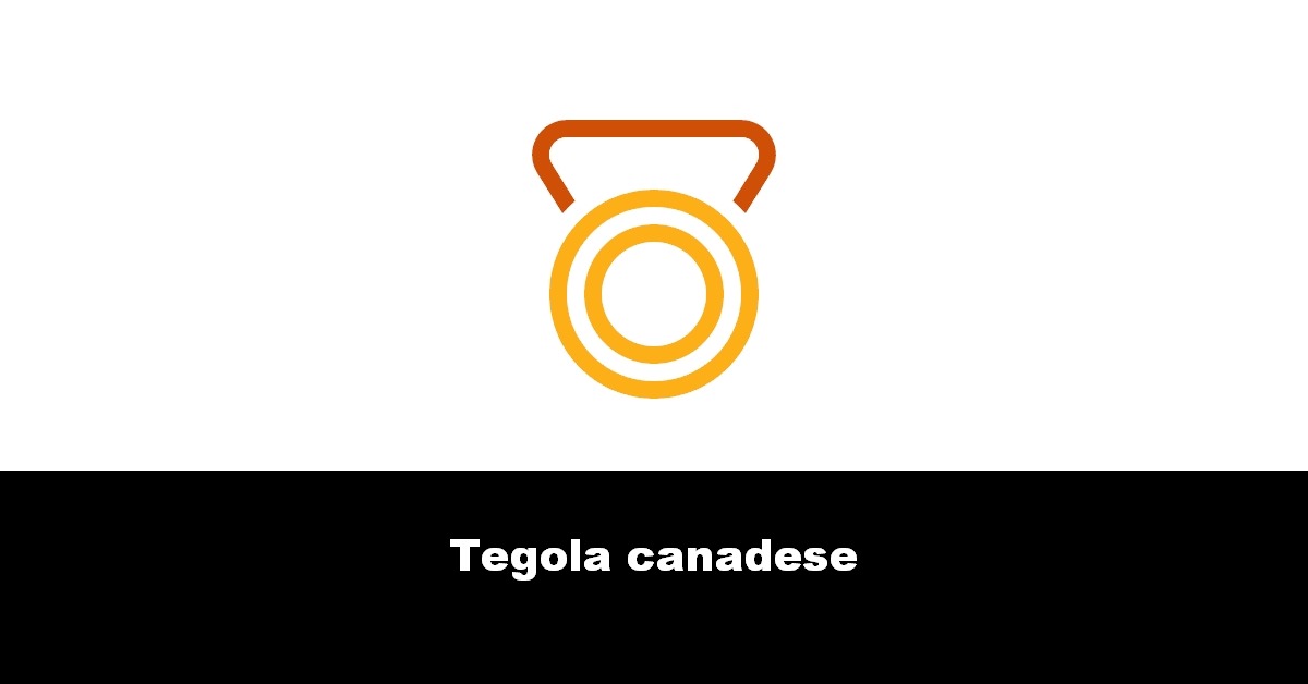 Tegola canadese