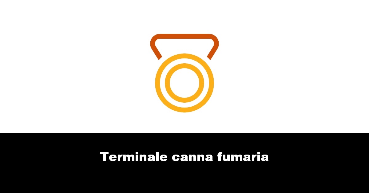 Terminale canna fumaria