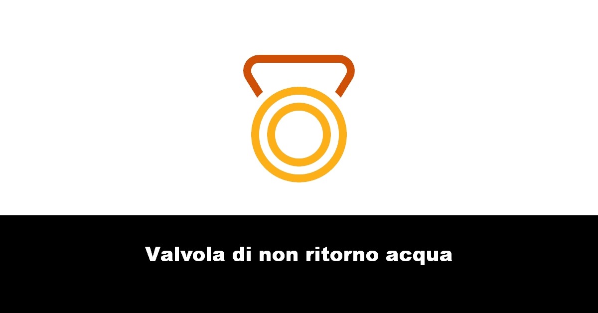 Valvola di non ritorno acqua